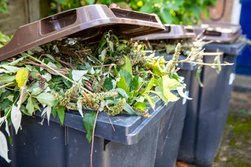 Tree lopping and yard clearing services Sydney — green waste removal